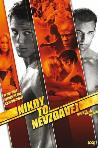 Plakát Nikdy to nevzdávej