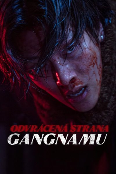 Plakát Odvrácená strana Gangnamu