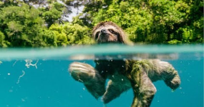 Earth: Den na zázračné planetě