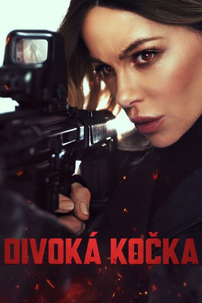 Plakát Divoká kočka