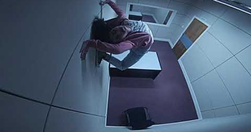 Wellington Paranormal