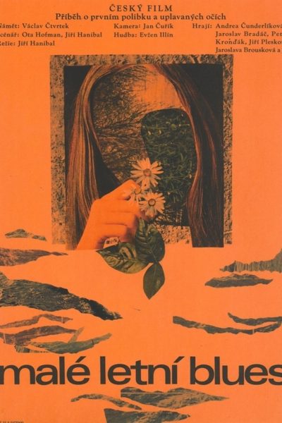 Plakát Malé letní blues