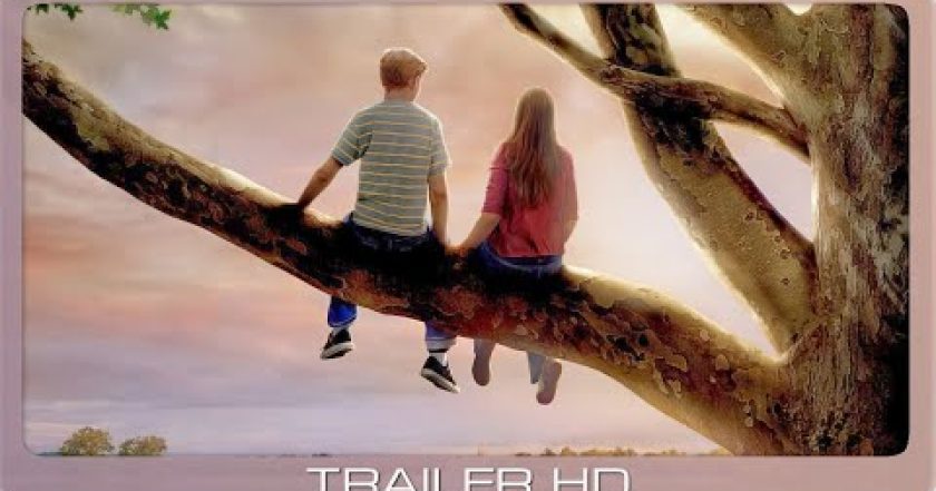 Má mě rád, nemá mě rád