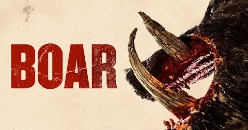Boar