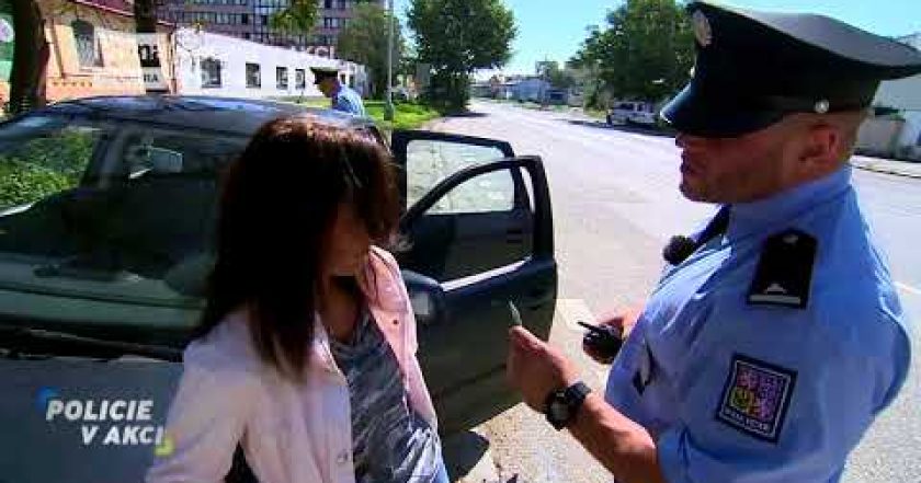 Policie v akci