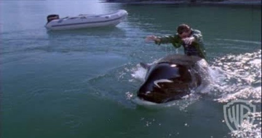 Zachraňte Willyho 3