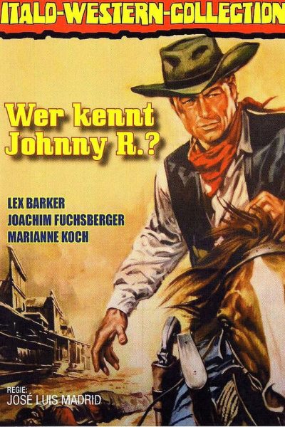 Plakát Hledá se Johnny R.