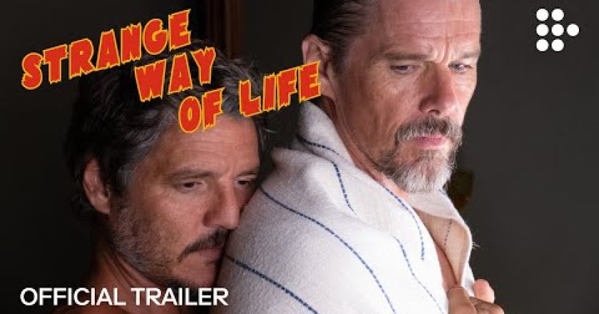 Zvláštní způsob života