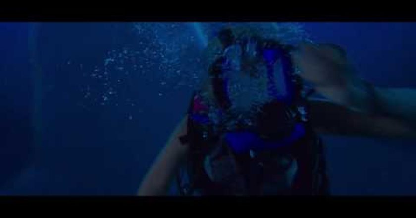 47 metrů: Mimo klec