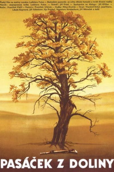 Plakát Pasáček z doliny