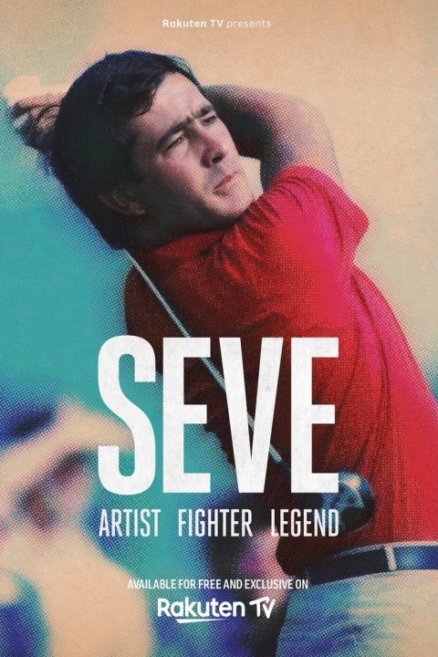 Plakát Seve: Artist, Fighter, Legend