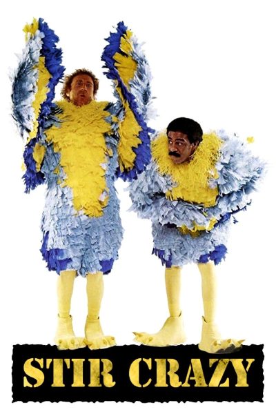 Plakát Blázni ve vězení