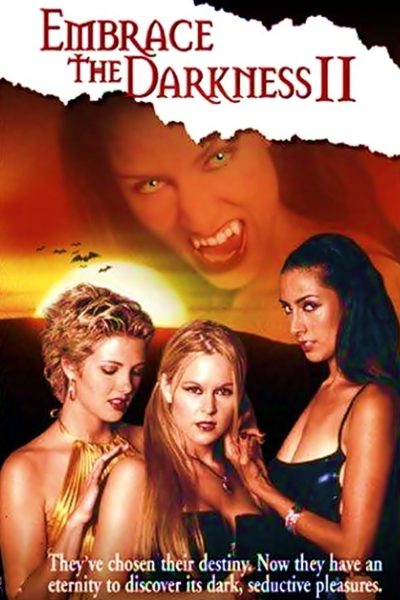 Plakát Embrace the Darkness 2