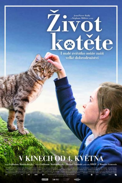 Plakát Život kotěte