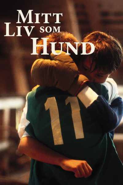 Plakát Můj život jako pes