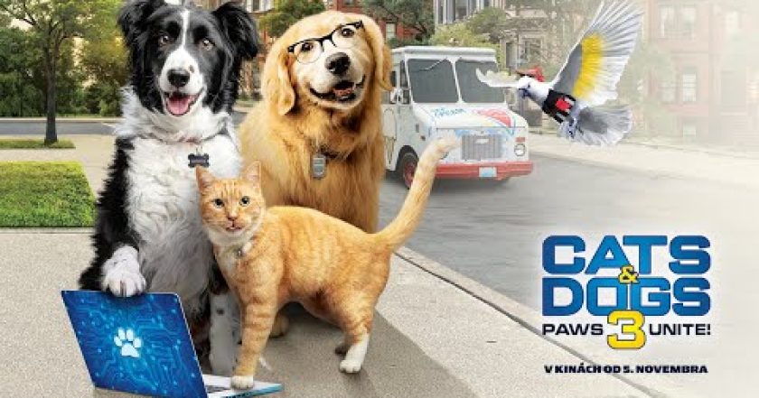 Mačky a psy 3: Labky na to!