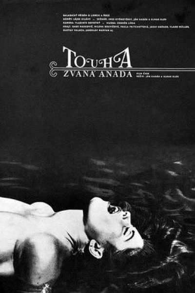 Plakát Touha zvaná Anada