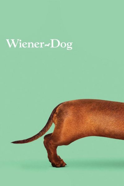 Plakát Wiener-Dog