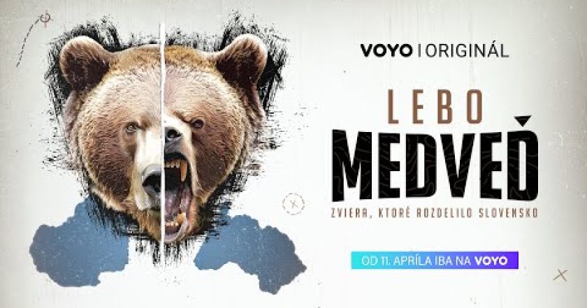Lebo medveď