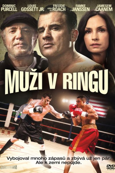 Plakát Muži v ringu
