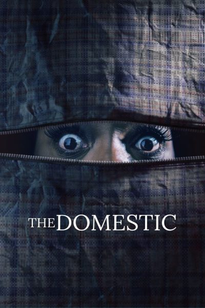 Plakát The Domestic