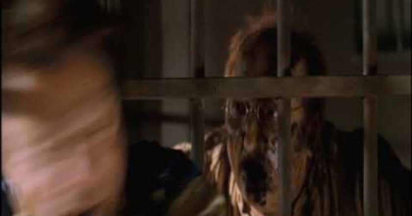 Živí nebo (ne)mrtví