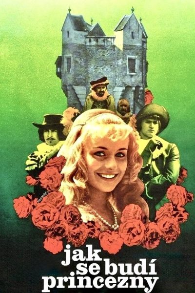 Plakát Jak se budí princezny