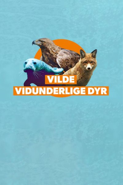 Plakát V divočině, tam to žije