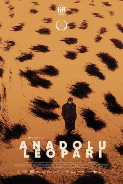 Plakát Levhart anatolský