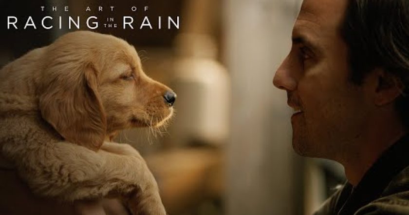 Umění tančit v dešti