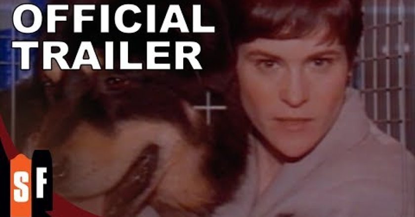 Nejlepší přítel člověka