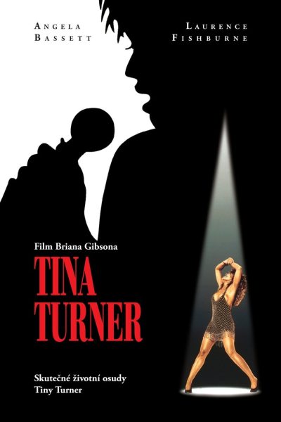 Plakát Tina Turner