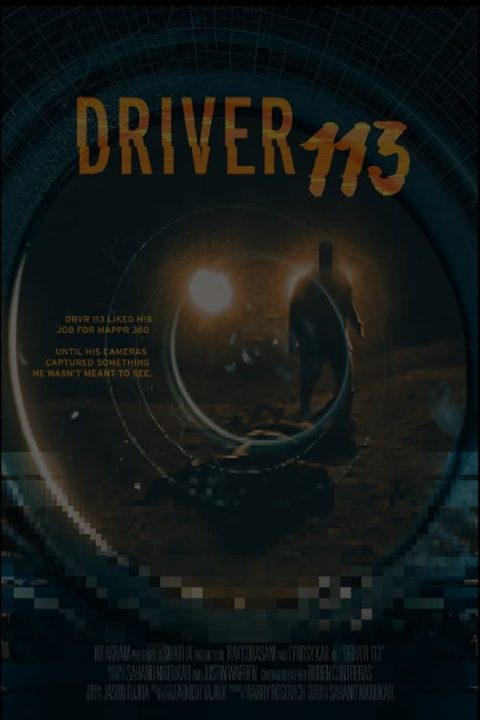 Plakát Driver 113