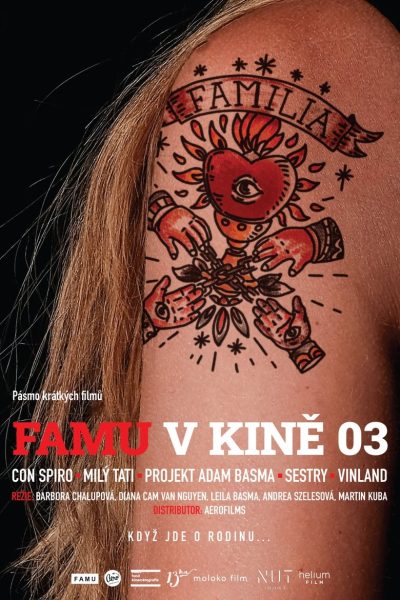 Plakát FAMU v kině 03