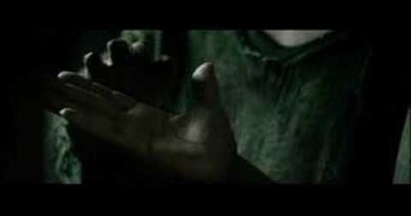 Utržený ze řetězu