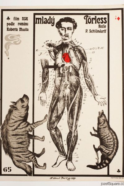 Plakát Mladý Törless