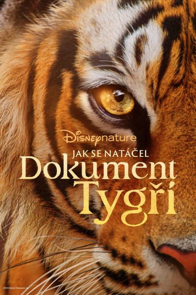 Plakát Jak se natáčel dokument Tygři