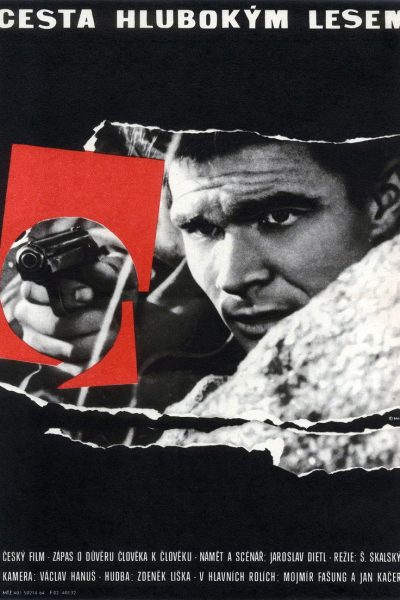 Plakát Cesta hlubokým lesem