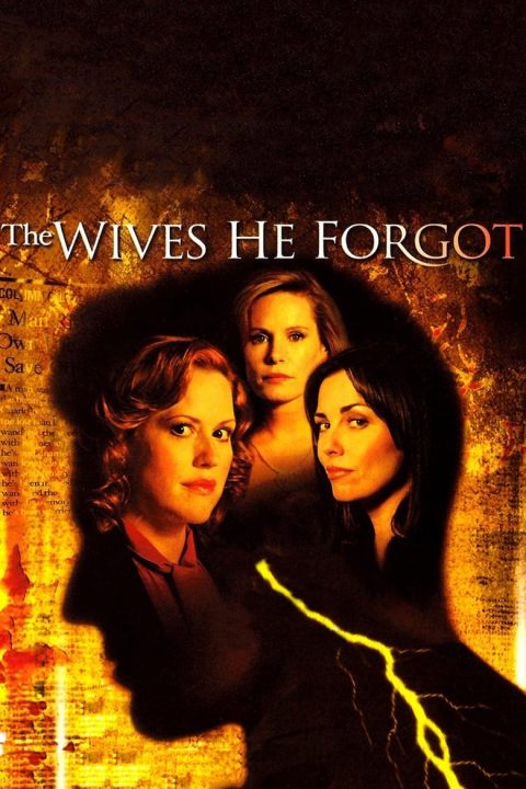 Plakát The Wives He Forgot