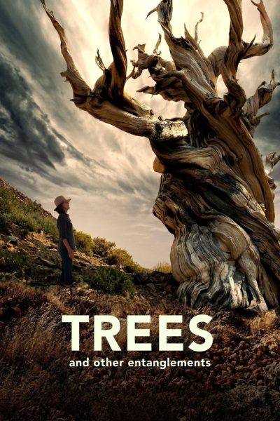 Plakát Trees and Other Entanglements
