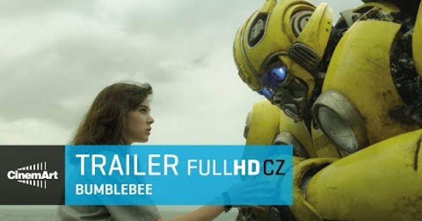 Bumblebee