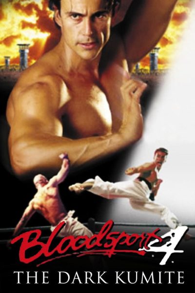 Plakát Bloodsport: The Dark Kumite