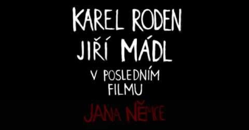 Vlk z královských Vinohrad