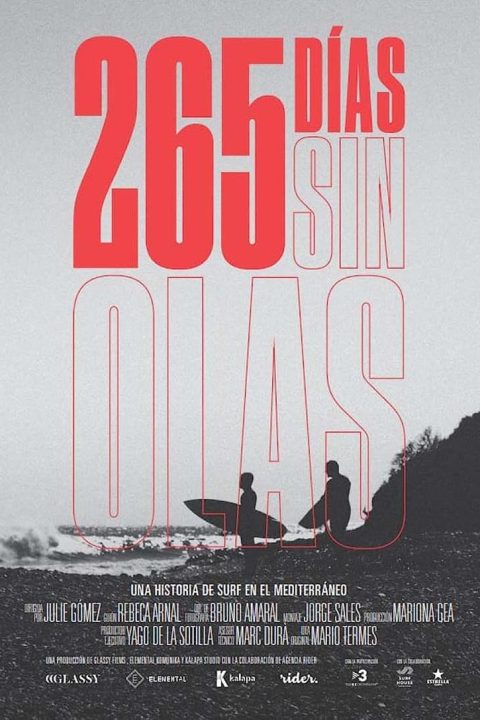 Plakát 265 días sin olas