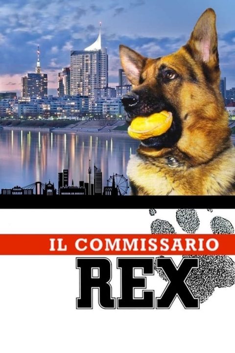 Návrat komisaře Rexe