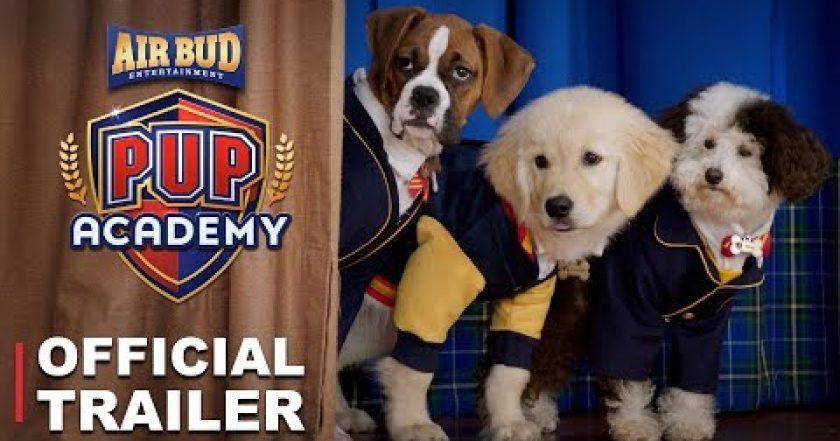 Štěněcí akademie