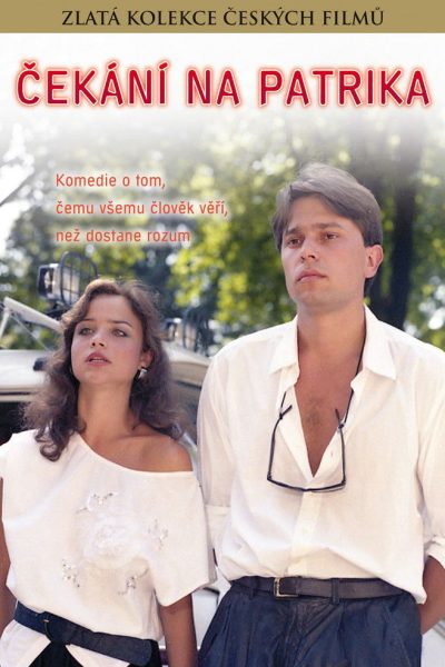 Plakát Čekání na Patrika
