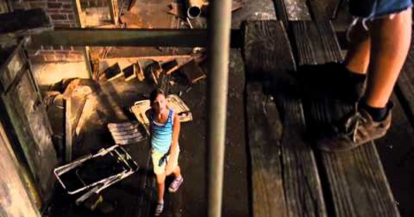 Krokodýlové z předměstí