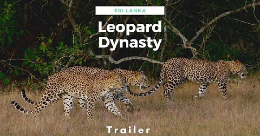 Šrí Lanka: Dynastie levhartů