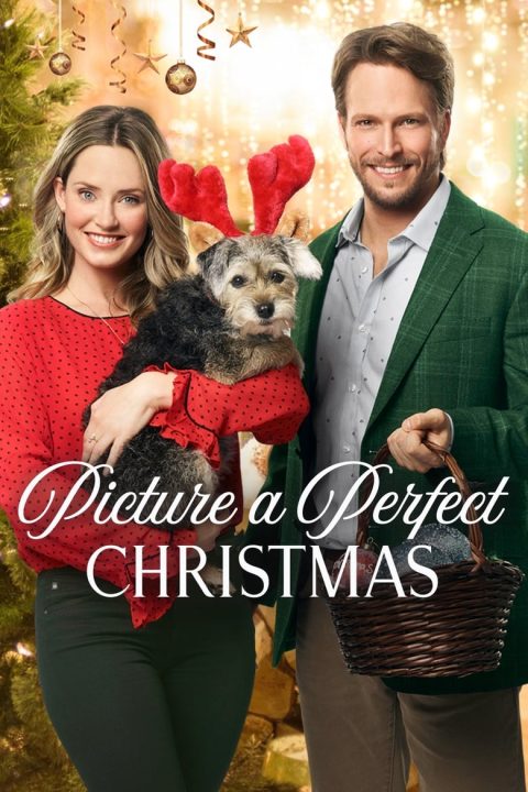 Plakát Dokonalé Vánoce s chůvou
